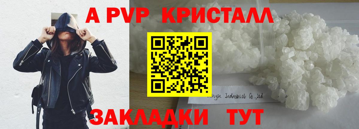 Alfa_PVP СК Зеленогорск