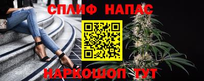 jwh Краснодар
