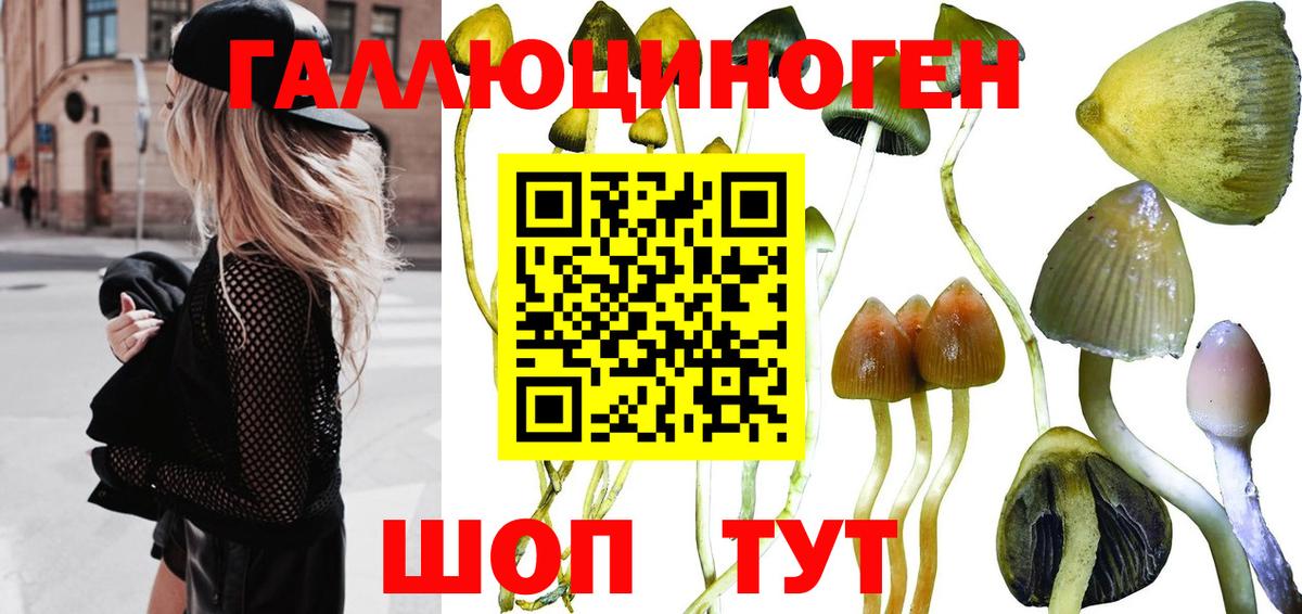 Псилоцибиновые грибы ЛСД  Псилоцибиновые грибы ЛСД  Зеленогорск  Вход с VPN 